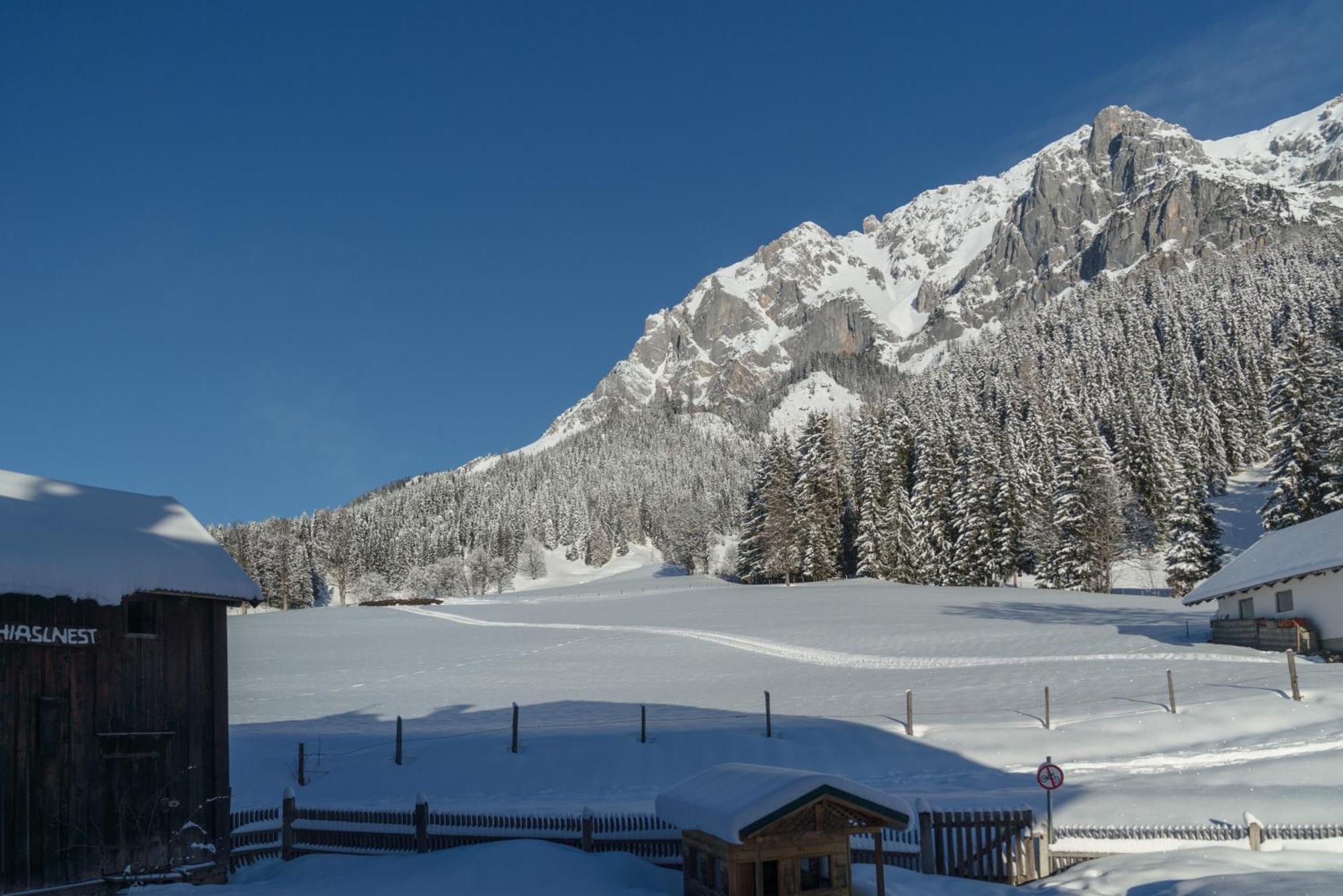 Hotel Ramsauhof Ramsau am Dachstein Exterior foto